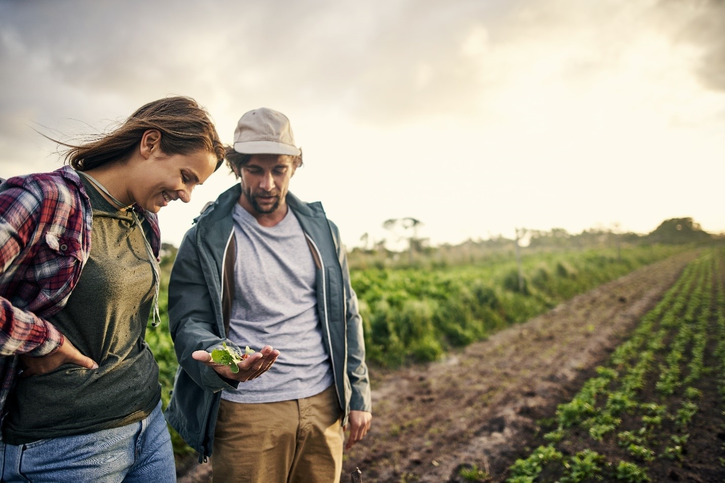 agriculture food and natural resources