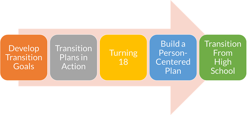 Transition Action Guide Visual