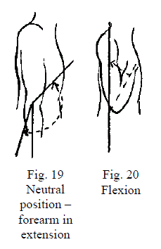 2 Figures Demonstrating Elbow Motions