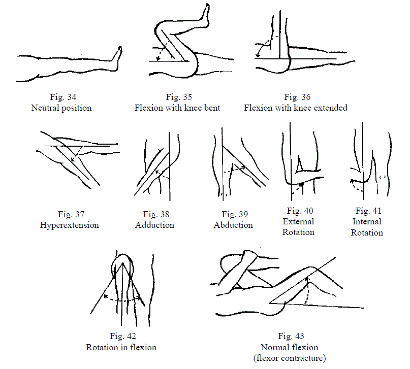 10 Figures Demonstrating Motions of the Hip