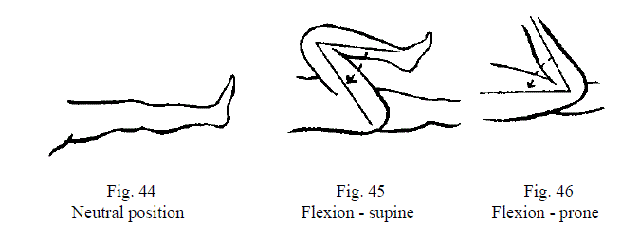 3 Figures Demonstrating Knee Motions