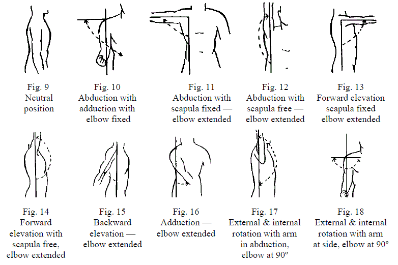 10 Figures Demonstrating Shoulder Motions