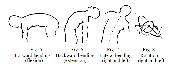 4 Figures Demonstrating Spine Motions