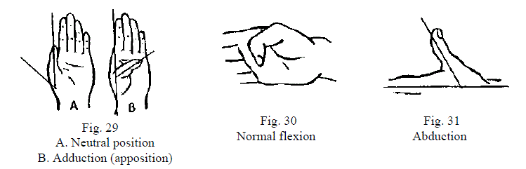 4 Figures Demonstrating Thumb Motions