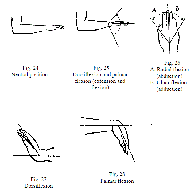 5 Figures Demonstrating Wrist Motions