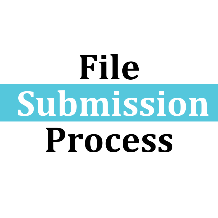 The File Submission Process