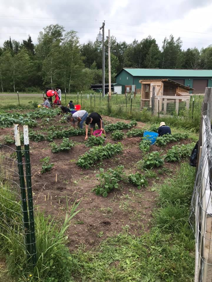 summer youth program participants farming